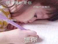 苏州二进制网络信息技术有限公司