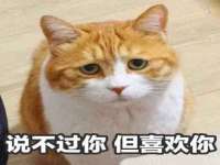 苏州二进制网络信息技术有限公司
