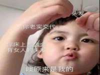 苏州二进制网络信息技术有限公司