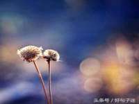 苏州二进制网络信息技术有限公司