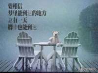 苏州二进制网络信息技术有限公司