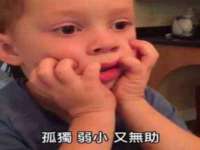 苏州二进制网络信息技术有限公司