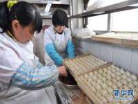 苏州二进制网络信息技术有限公司