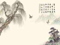 苏州二进制网络信息技术有限公司