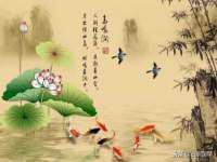 苏州二进制网络信息技术有限公司