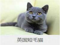 苏州二进制网络信息技术有限公司