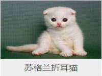 苏州二进制网络信息技术有限公司