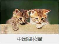 苏州二进制网络信息技术有限公司