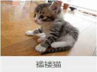 苏州二进制网络信息技术有限公司