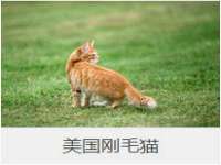 苏州二进制网络信息技术有限公司