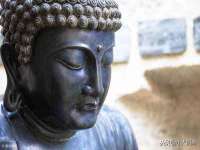 苏州二进制网络信息技术有限公司