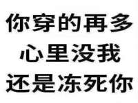 苏州二进制网络信息技术有限公司