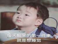 苏州二进制网络信息技术有限公司