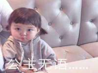 苏州二进制网络信息技术有限公司