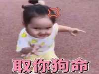 苏州二进制网络信息技术有限公司