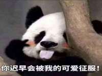 苏州二进制网络信息技术有限公司