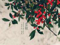 苏州二进制网络信息技术有限公司
