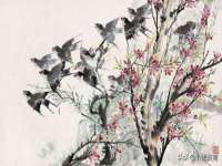 苏州二进制网络信息技术有限公司