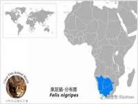 苏州二进制网络信息技术有限公司