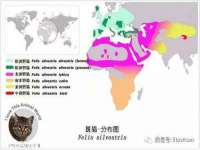 苏州二进制网络信息技术有限公司