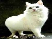 苏州二进制网络信息技术有限公司