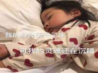 苏州二进制网络信息技术有限公司