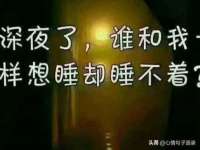 苏州二进制网络信息技术有限公司
