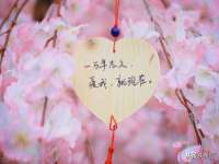 苏州二进制网络信息技术有限公司