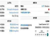 苏州二进制网络信息技术有限公司