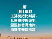 苏州二进制网络信息技术有限公司