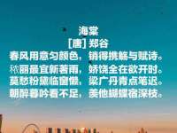 苏州二进制网络信息技术有限公司