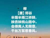 苏州二进制网络信息技术有限公司