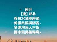 苏州二进制网络信息技术有限公司