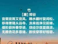 苏州二进制网络信息技术有限公司