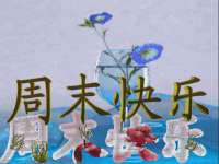 苏州二进制网络信息技术有限公司