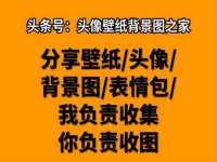 苏州二进制网络信息技术有限公司