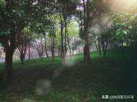 苏州二进制网络信息技术有限公司