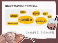 苏州二进制网络信息技术有限公司