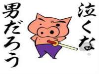 苏州二进制网络信息技术有限公司
