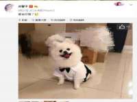 苏州二进制网络信息技术有限公司