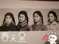 苏州二进制网络信息技术有限公司