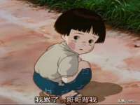 苏州二进制网络信息技术有限公司