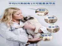 苏州二进制网络信息技术有限公司