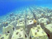 苏州二进制网络信息技术有限公司