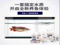 苏州二进制网络信息技术有限公司