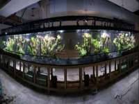 苏州二进制网络信息技术有限公司