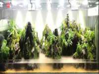 苏州二进制网络信息技术有限公司