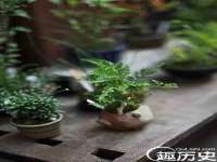 苏州二进制网络信息技术有限公司
