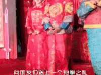 苏州二进制网络信息技术有限公司