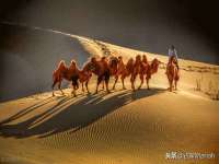 苏州二进制网络信息技术有限公司